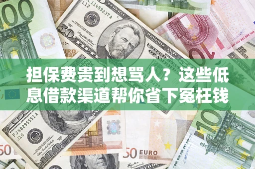 济南担保费贵到想骂人？这些低息借款渠道帮你省下冤枉钱