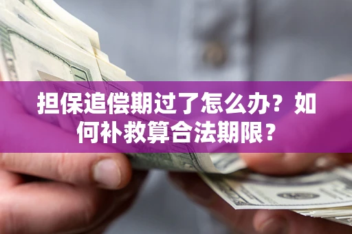 济南担保追偿期过了怎么办？如何补救算合法期限？