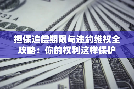 济南担保追偿期限与违约维权全攻略：你的权利这样保护